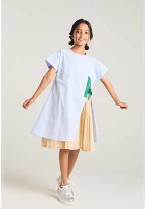 Pleated Skirt Striped Dress