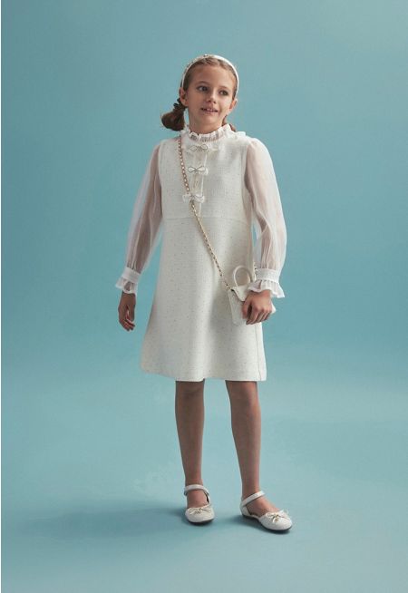 Mesh Sleeved Stud Embellished Dress