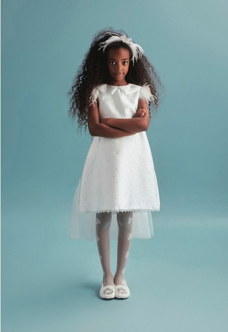 Faux Feather Sleeves Dress