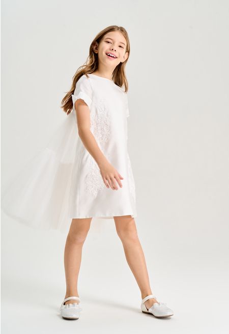 Sequined Embroidered Sleek Dress