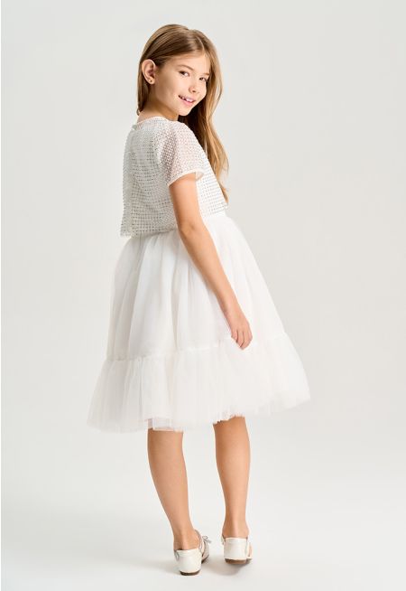 Crystal Embellished Net Dress Set (2 PSC)