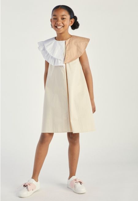 Contrast Collar Dress