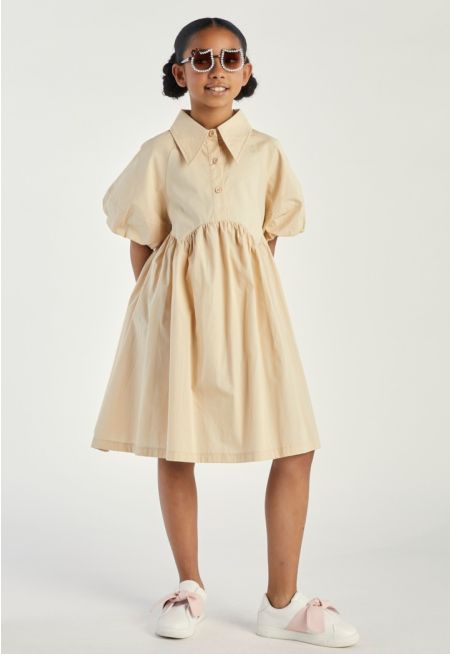 Pointed Collar Dress