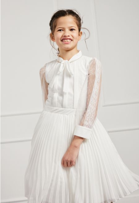 Mesh Sleeved Pleated Skirt Dress